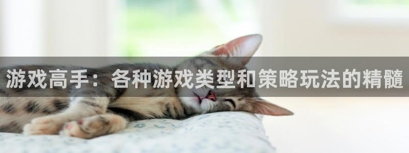 杏悦平台登录地址：游戏高手：各种游戏类型和策略玩法的精髓