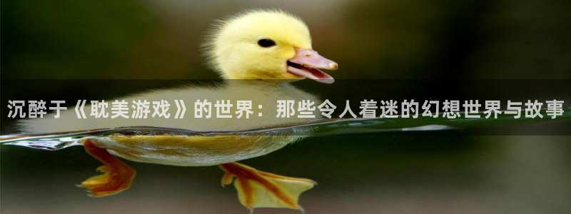 杏悦平台招商电话：沉醉于《耽美游戏》的世界：那些令人着迷的幻