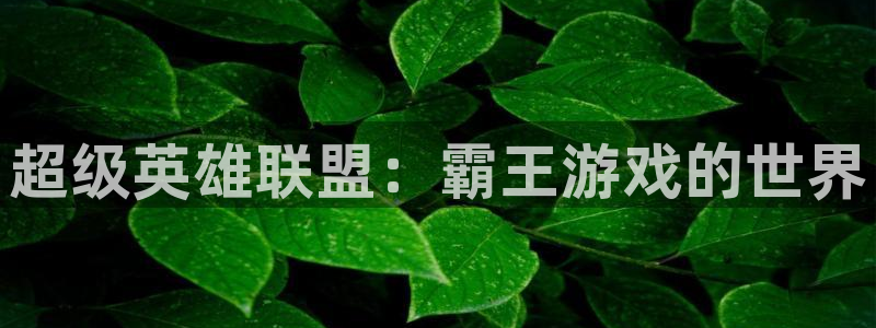 杏悦娱乐注册地址在哪里查：超级英雄联盟：霸王游戏的世界