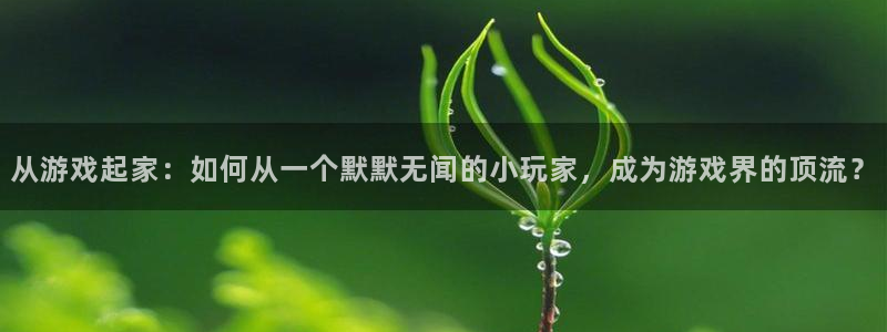 杏悦平台招商电话