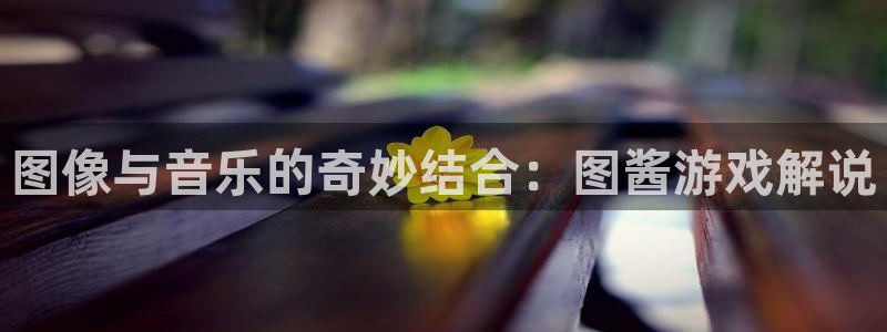 杏悦：图像与音乐的奇妙结合：图酱游戏解说