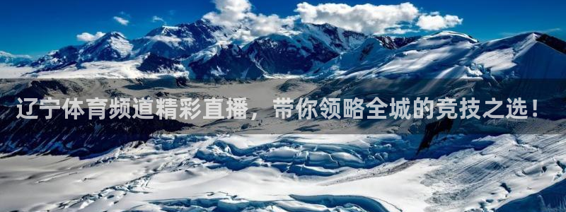 黑白直播cba：辽宁体育频道精彩直播，带你领略全城的竞技之选！