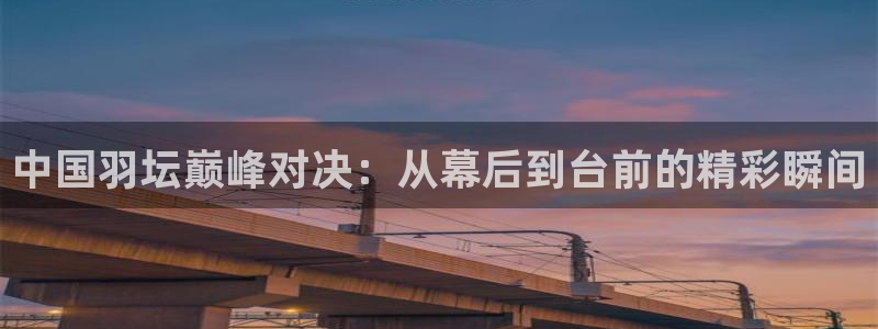 nba在线黑白直播：中国羽坛巅峰对决：从幕后到台前的精彩瞬间