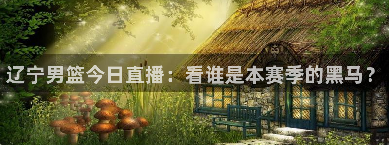 黑白体育在线观看：辽宁男篮今日直播：看谁是本赛季的黑马？