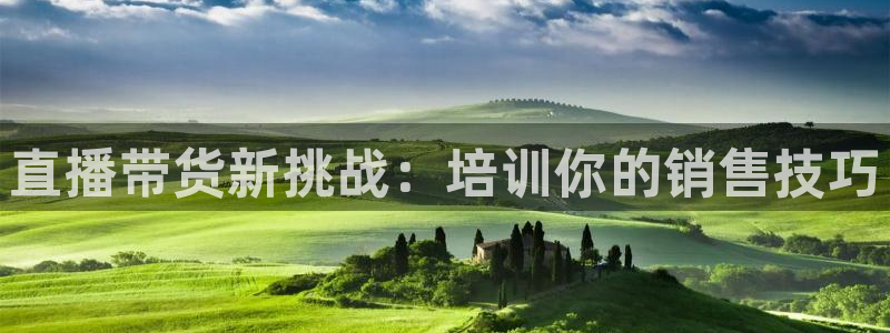 黑白直体育直播：直播带货新挑战：培训你的销售技巧