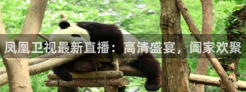 黑白体育nba篮球直播：凤凰卫视最新直播：高清盛宴，阖家欢聚