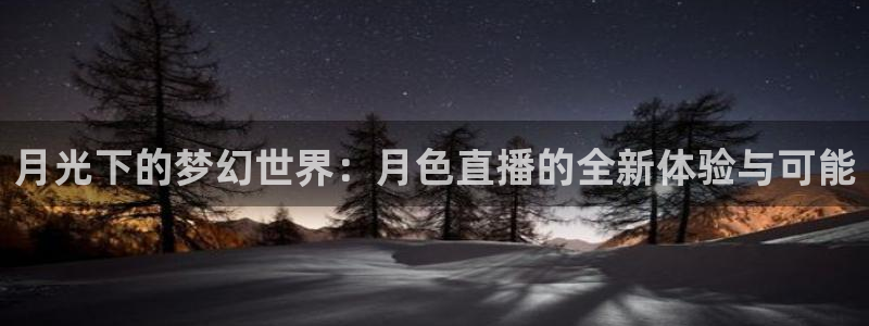 黑白直播体育下载：月光下的梦幻世界：月色直播的全新体验与可能