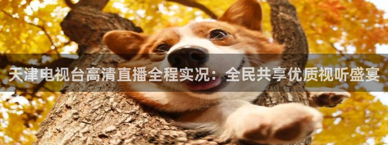 黑白直播体育app：天津电视台高清直播全程实况：全民共享优质视听盛宴