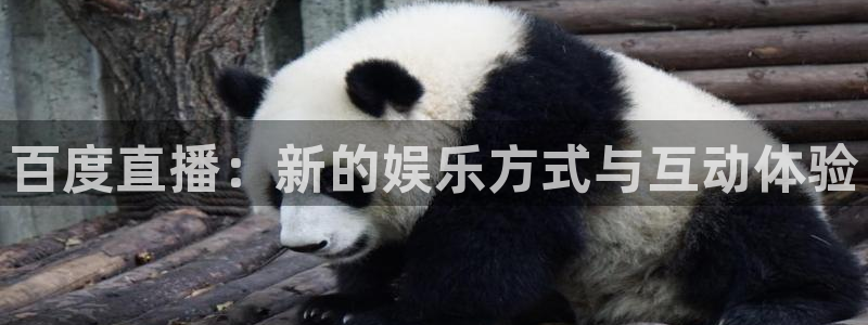 黑白直播体育在线直播观看：百度直播：新的娱乐方式与互动体验