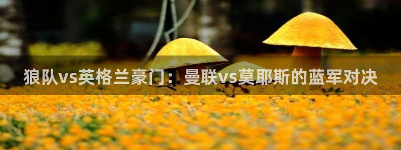 黑白直播体育直播：狼队vs英格兰豪门：曼联vs莫耶斯的蓝军对决