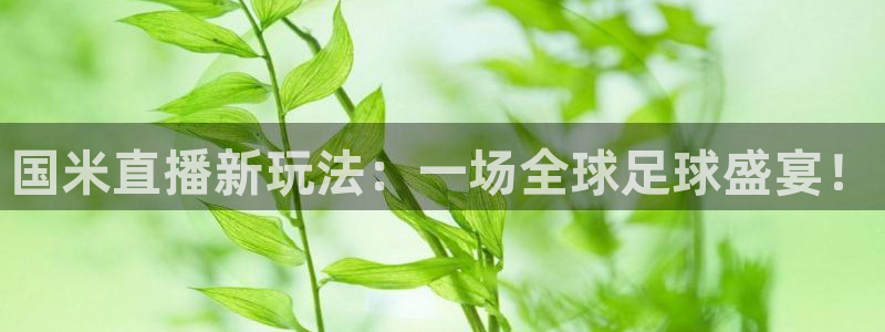nba在线直播黑白体育：国米直播新玩法：一场全球足球盛宴！
