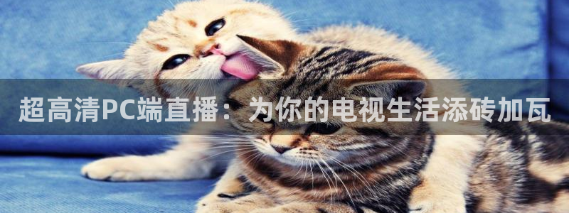 黑白直播nba免费观看下载篮球：超高清PC端直播：为你的电视生活添砖加瓦