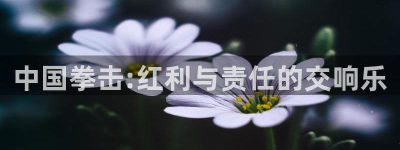 黑白直播吧nba：中国拳击:红利与责任的交响乐