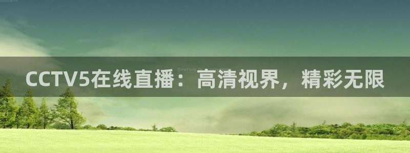 黑白直播体育app下载ios：CCTV5在线直播：高清视界，精彩无限